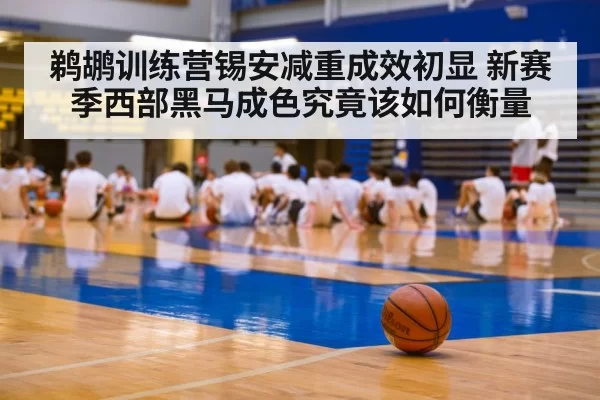 鹈鹕训练营锡安减重成效初显 新赛季西部黑马成色究竟该如何衡量