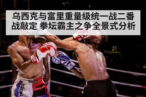 boxer training gloves